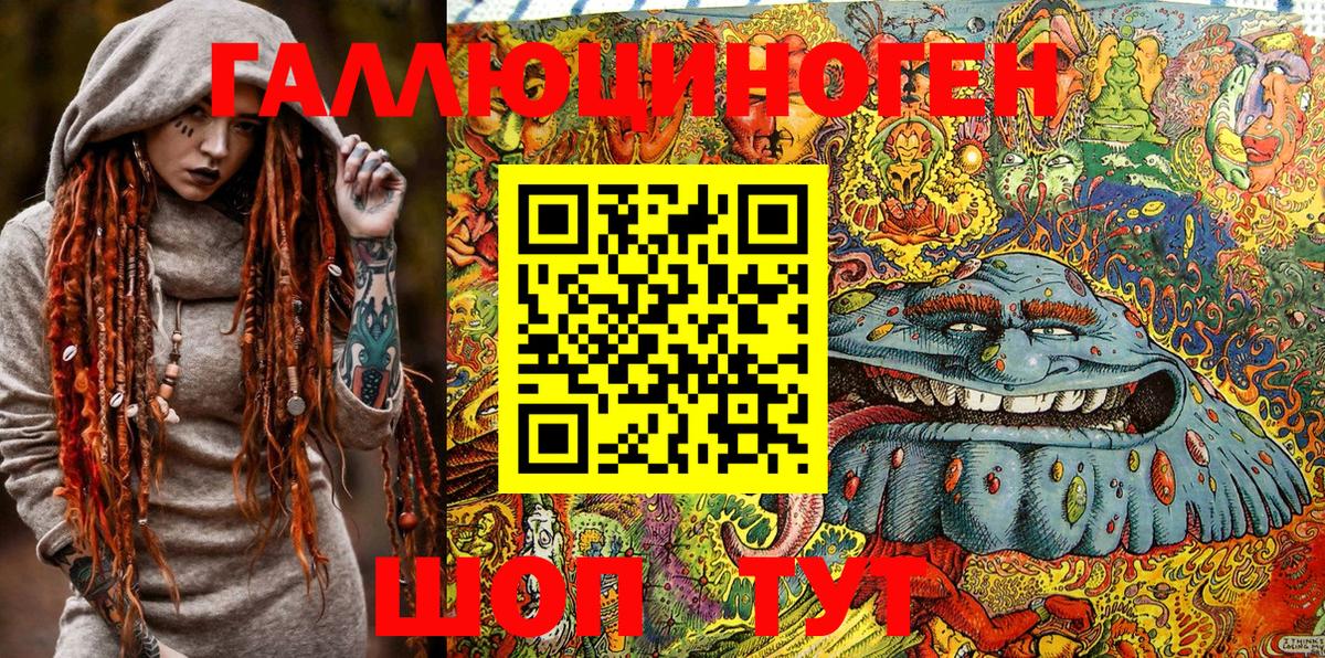 Псилоцибиновые грибы Psilocybe Ржев