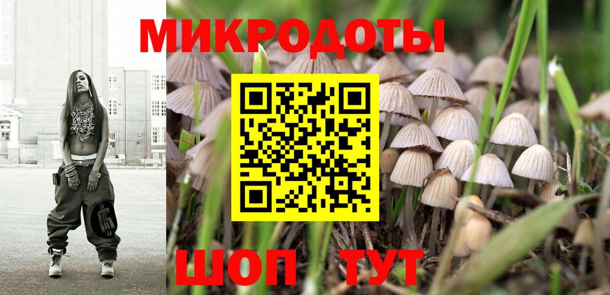Псилоцибиновые грибы Cubensis  Псилоцибиновые грибы Psilocybe  где купить наркотик  Вход с VPN  Ржев 
